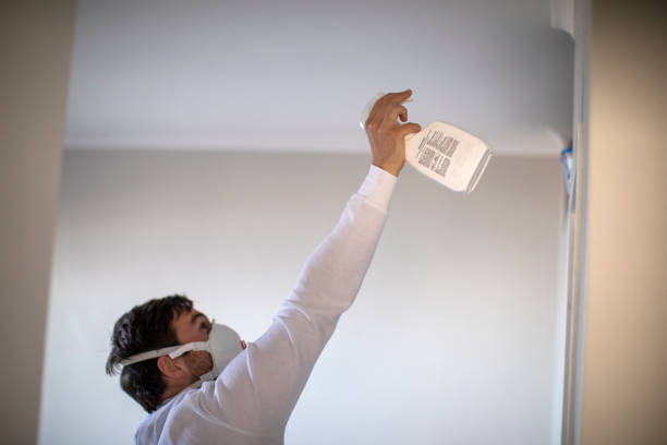 Best Preventive Mold Services in Belmont, MS